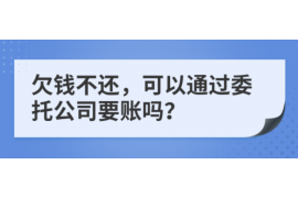 红河红河的要账公司在催收过程中的策略和技巧有哪些？